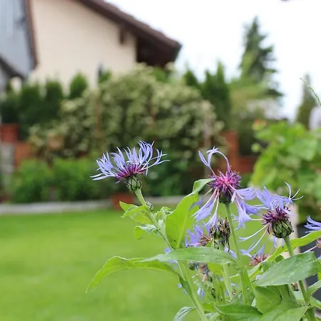 Wandl Apartment Bad Griesbach (Bavaria)